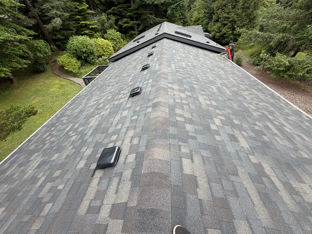 A long new shingle ridge with ridge vents, trees on both sides